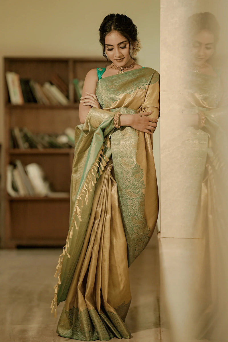 Divya Iyer